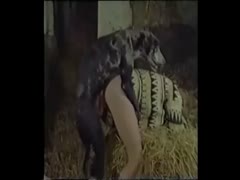MILF engaging in amateur beastiality in various locations with her dog